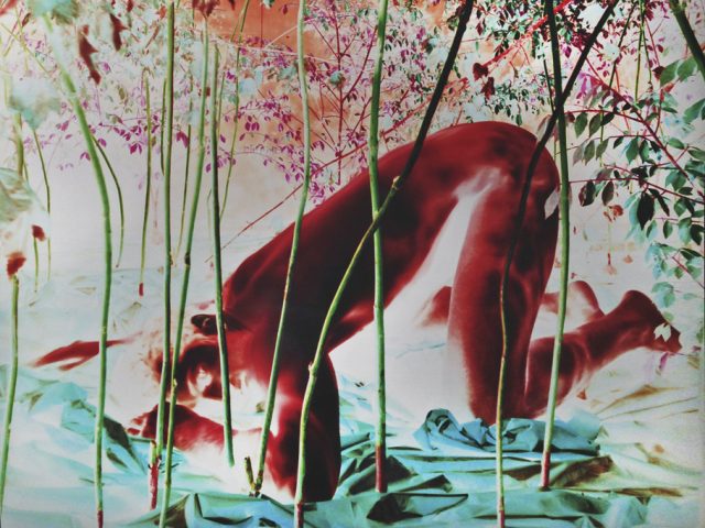 A surreal, color-inverted photograph of a human figure kneeling among tall reeds and dense foliage, with the body rendered in crimson red and the ground in turquoise.