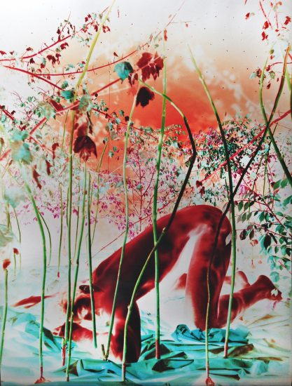 A colorful photograph with inverted colors of a nude man in the reeds.