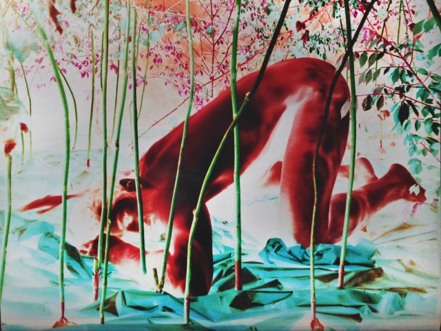 A colorful photograph with inverted colors of a nude man in the reeds.