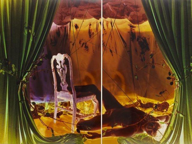 A colorful diptych of still life/portrait hybrid photographs rendered in inverted colors.