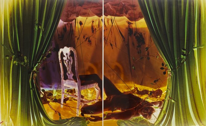 A colorful diptych of still life/portrait hybrid photographs rendered in inverted colors.