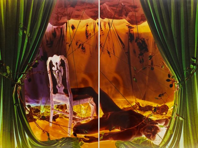 A colorful diptych of still life/portrait hybrid photographs rendered in inverted colors.