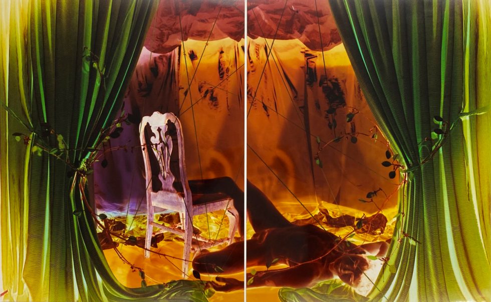 A colorful diptych of still life/portrait hybrid photographs rendered in inverted colors.