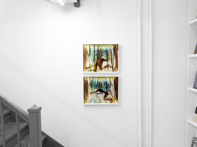 A photograph of a white-walled gallery space with colorful photographs on display.