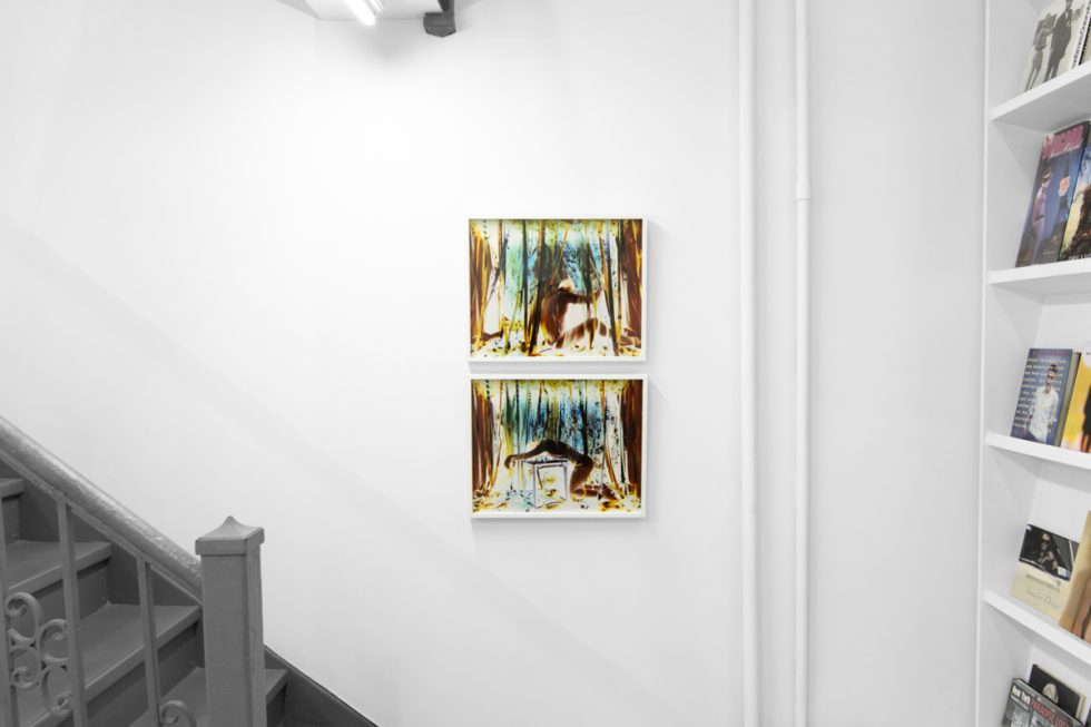 A photograph of a white-walled gallery space with colorful photographs on display.