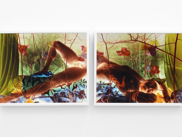 A photograph of a white-walled gallery space with colorful photographs on display.