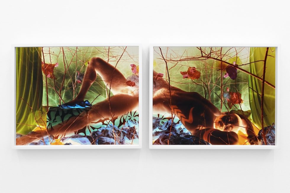 A photograph of a white-walled gallery space with colorful photographs on display.