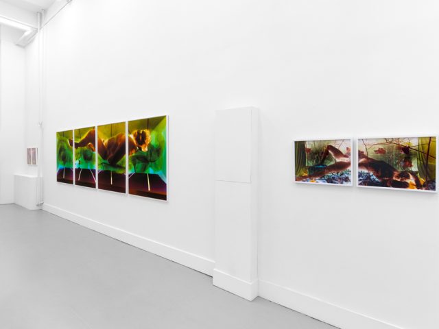A photograph of a white-walled gallery space with colorful photographs on display.