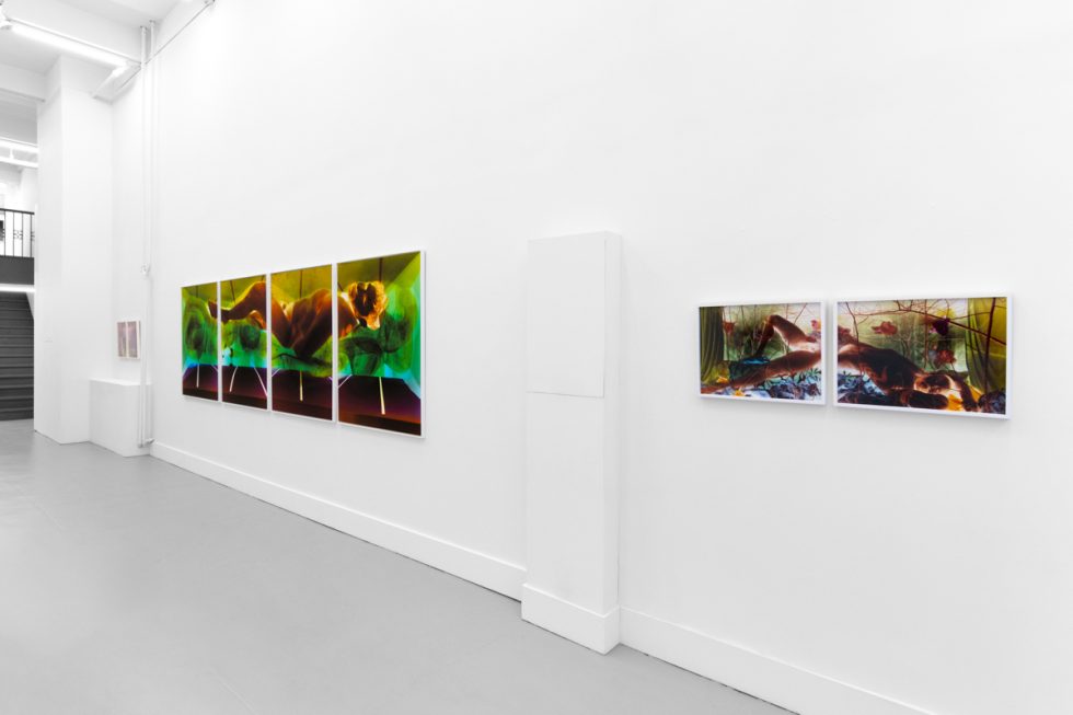 A photograph of a white-walled gallery space with colorful photographs on display.