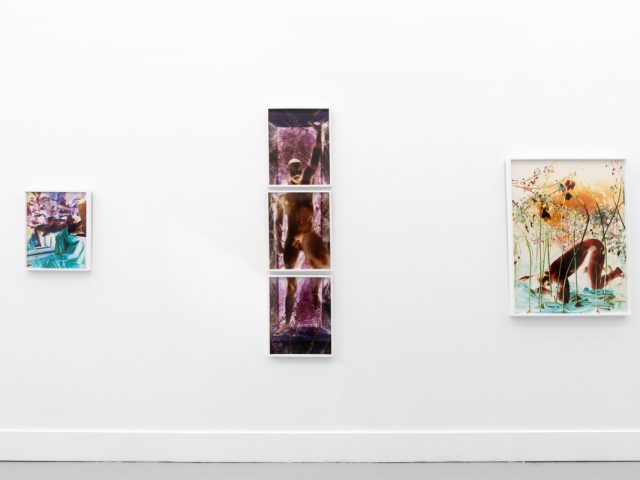 A photograph of a white-walled gallery space with colorful photographs on display.
