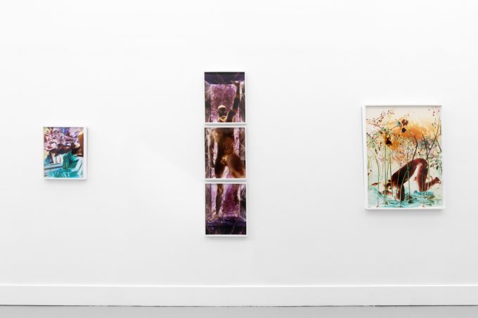 A photograph of a white-walled gallery space with colorful photographs on display.