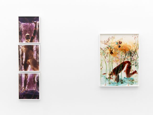 A photograph of a white-walled gallery space with colorful photographs on display.