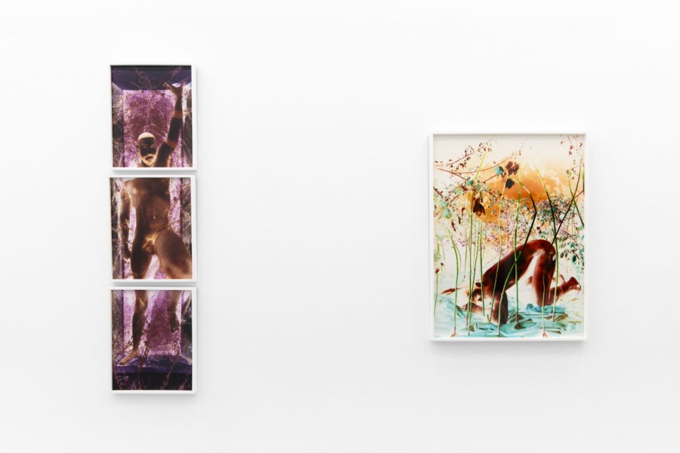 A photograph of a white-walled gallery space with colorful photographs on display.