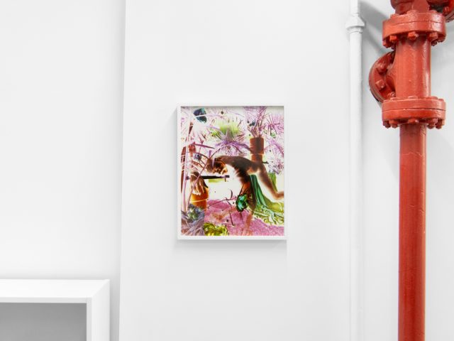 A photograph of a white-walled gallery space with colorful photographs on display.