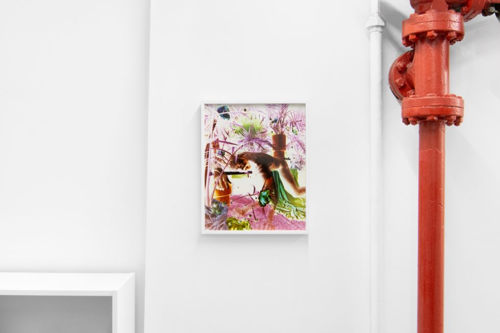 A photograph of a white-walled gallery space with colorful photographs on display.