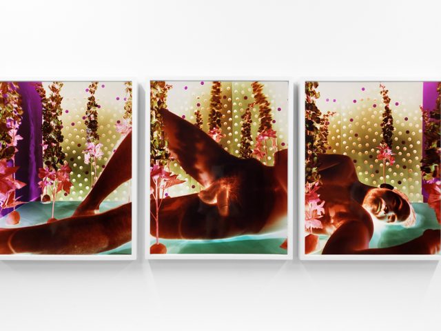 A photograph of a white-walled gallery space with colorful photographs on display.