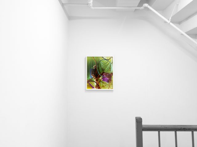 A photograph of a white-walled gallery space with colorful photographs on display.
