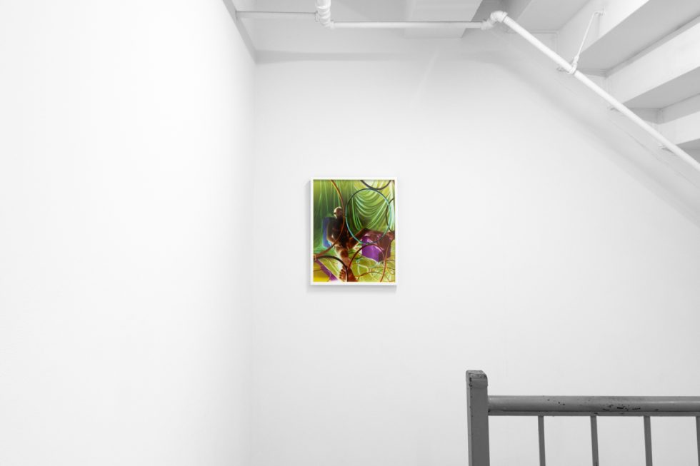 A photograph of a white-walled gallery space with colorful photographs on display.
