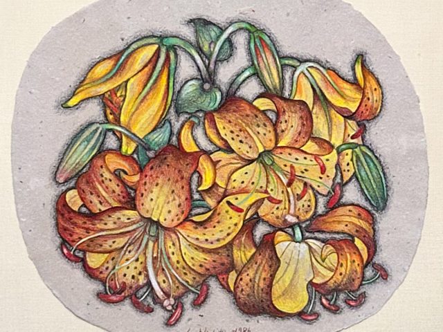 A colorful colored pencil drawing of a bunch of tiger lily flowers on an oval shaped piece of paper.
