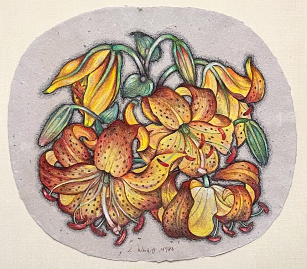 A colorful colored pencil drawing of a bunch of tiger lily flowers on an oval shaped piece of paper.