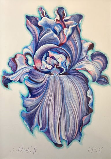 A colored pencil drawing of a single iris rendered in lavender and blue.