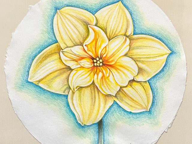 A yellow flower outlined in blue on a circular piece of white paper.