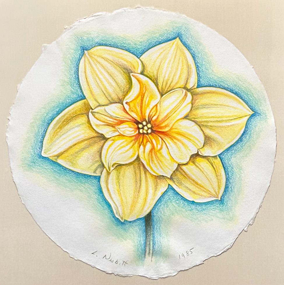 A yellow flower outlined in blue on a circular piece of white paper.