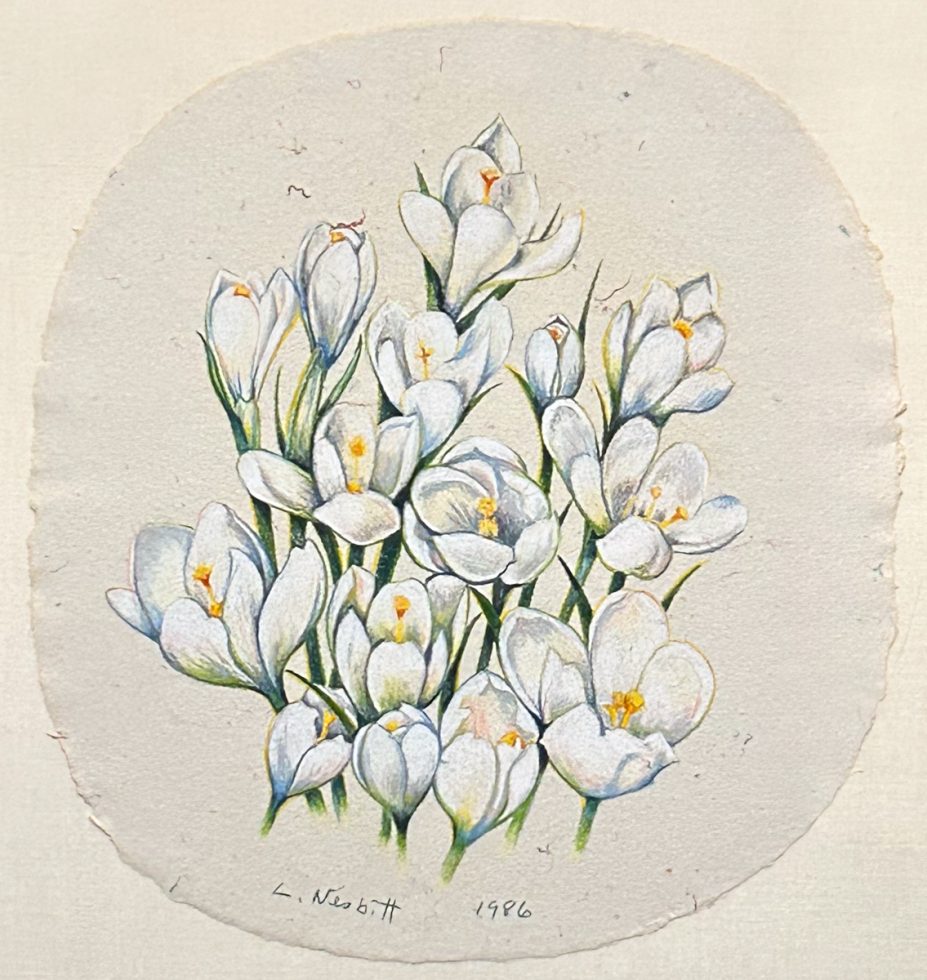 A bouquet of crocuses rendered in colored pencil.