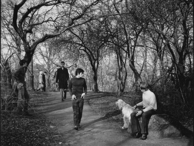 A black and white photograph of a man standing in a park.