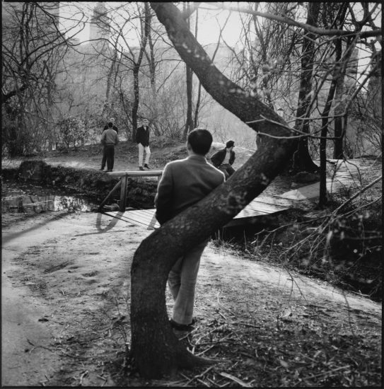 A black and white photograph of a man leaning on a tree in a park.