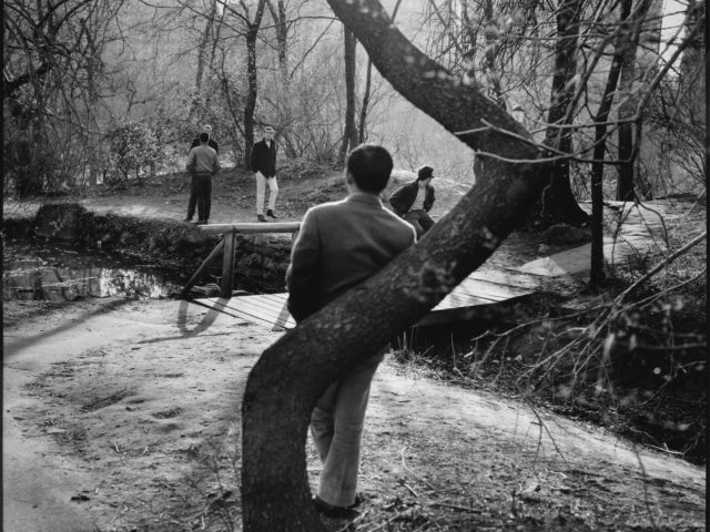 A black and white photograph of a man leaning on a tree in a park.