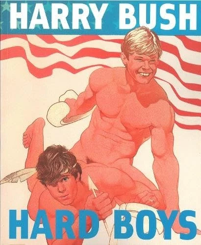 A book cover of two nude men. 