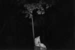 A black and white photograph of two men by a tree in the darkness.