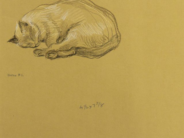 A drawing of a sleeping cat