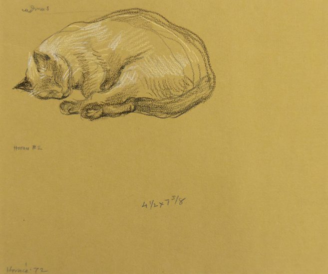 A drawing of a sleeping cat