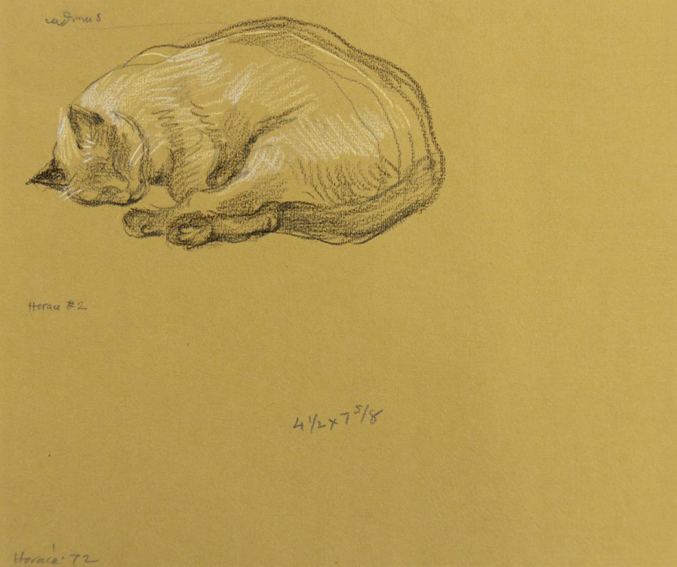 A drawing of a sleeping cat