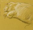 A drawing of a chubby sleeping kitty.