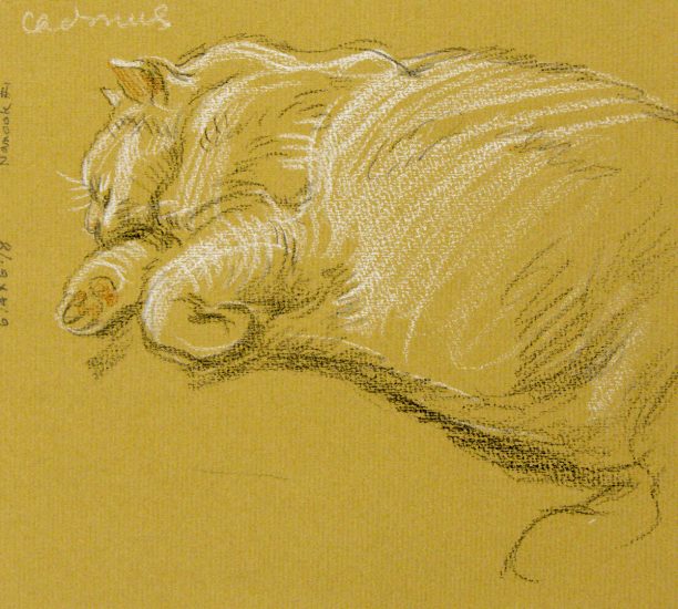 A drawing of a chubby sleeping kitty.