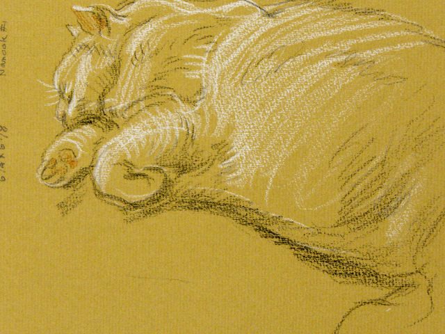 A drawing of a chubby sleeping kitty.