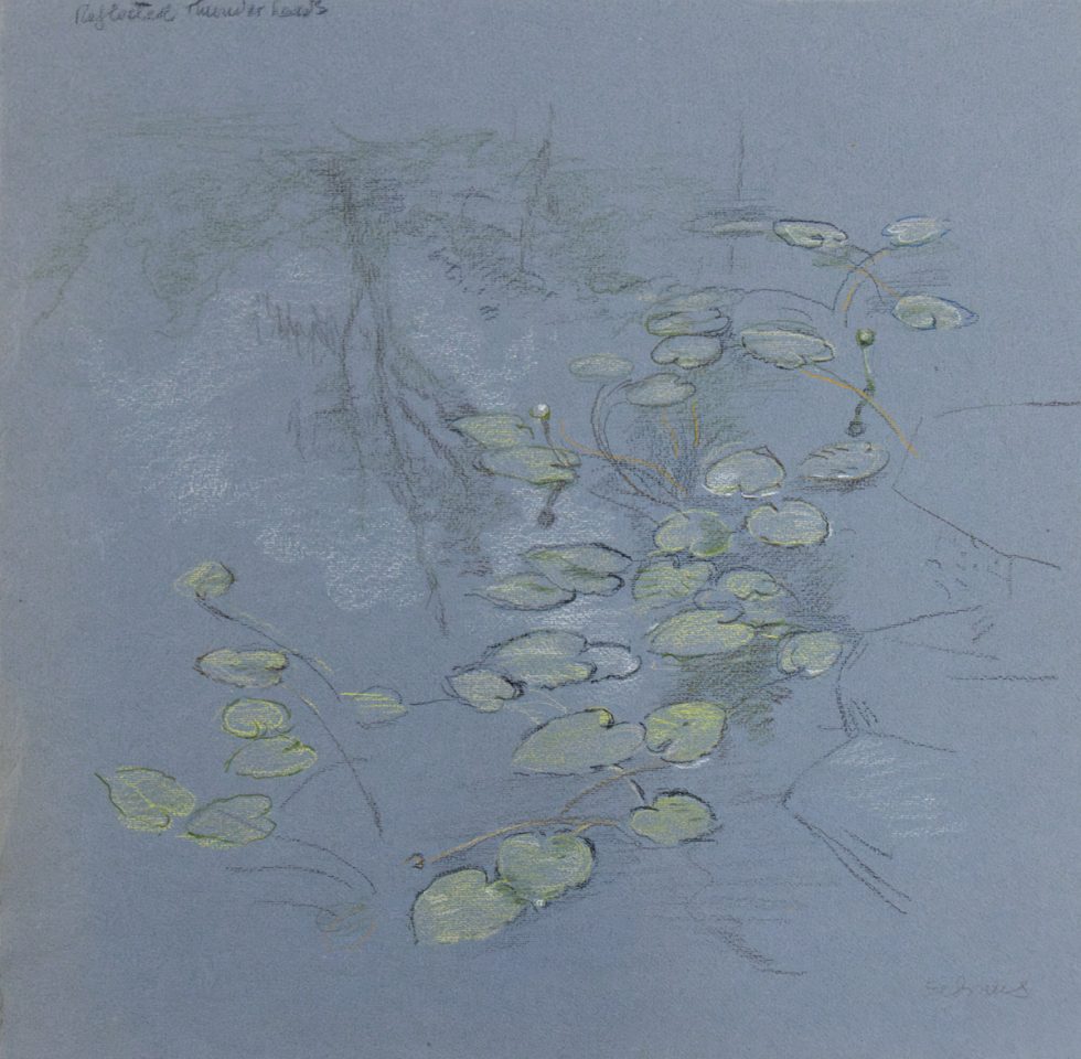 A drawing of lily pads floating on water