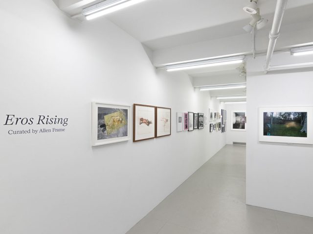 Eros Rising Installation Image