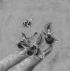 A black and white drawing of a hand with winged insects on it.