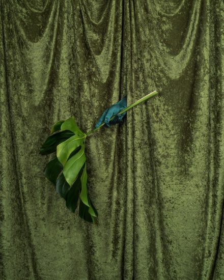 A photograph of a green curtain.