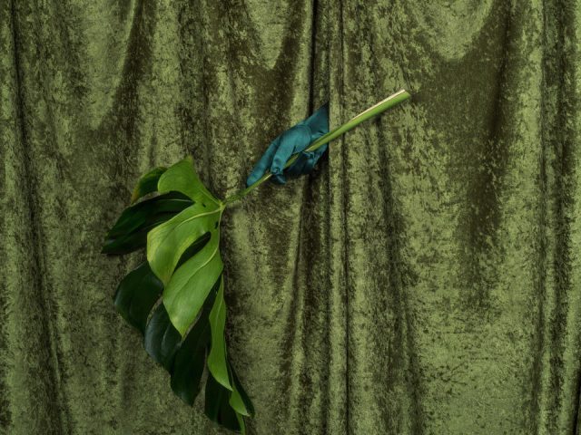 A photograph of a green curtain.