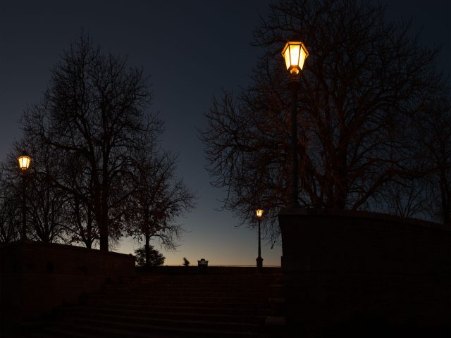 This is a color photograph of lamp posts at night.