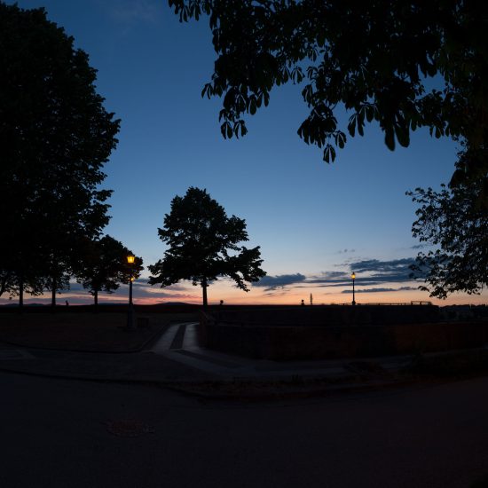 This is a color photograph of a park at night.