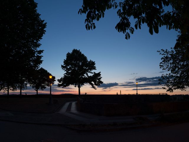 This is a color photograph of a park at night.
