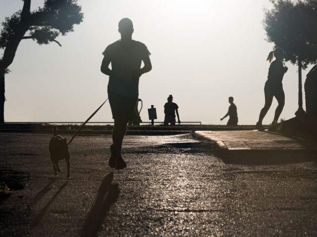 This is a color photograph of a man walking his dog in the park.