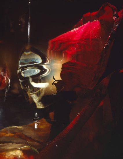 This color photograph shows the petals of a rose, partially obscured by glimmers of blue light, reflected through glass.