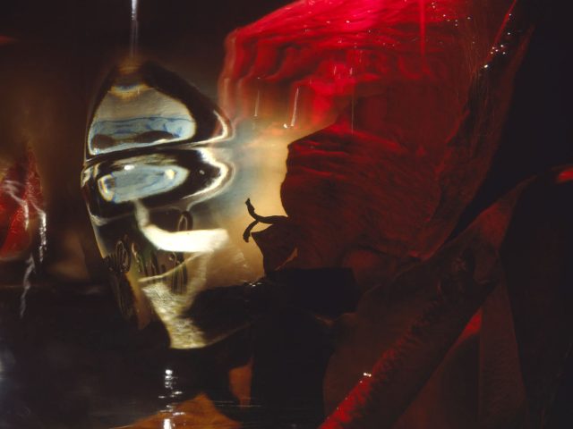 This color photograph shows the petals of a rose, partially obscured by glimmers of blue light, reflected through glass.